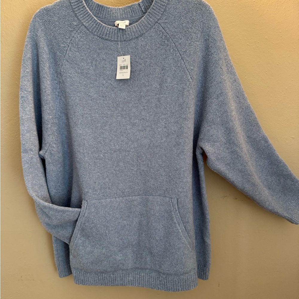 J. Jill Soft Blue Knit Sweater